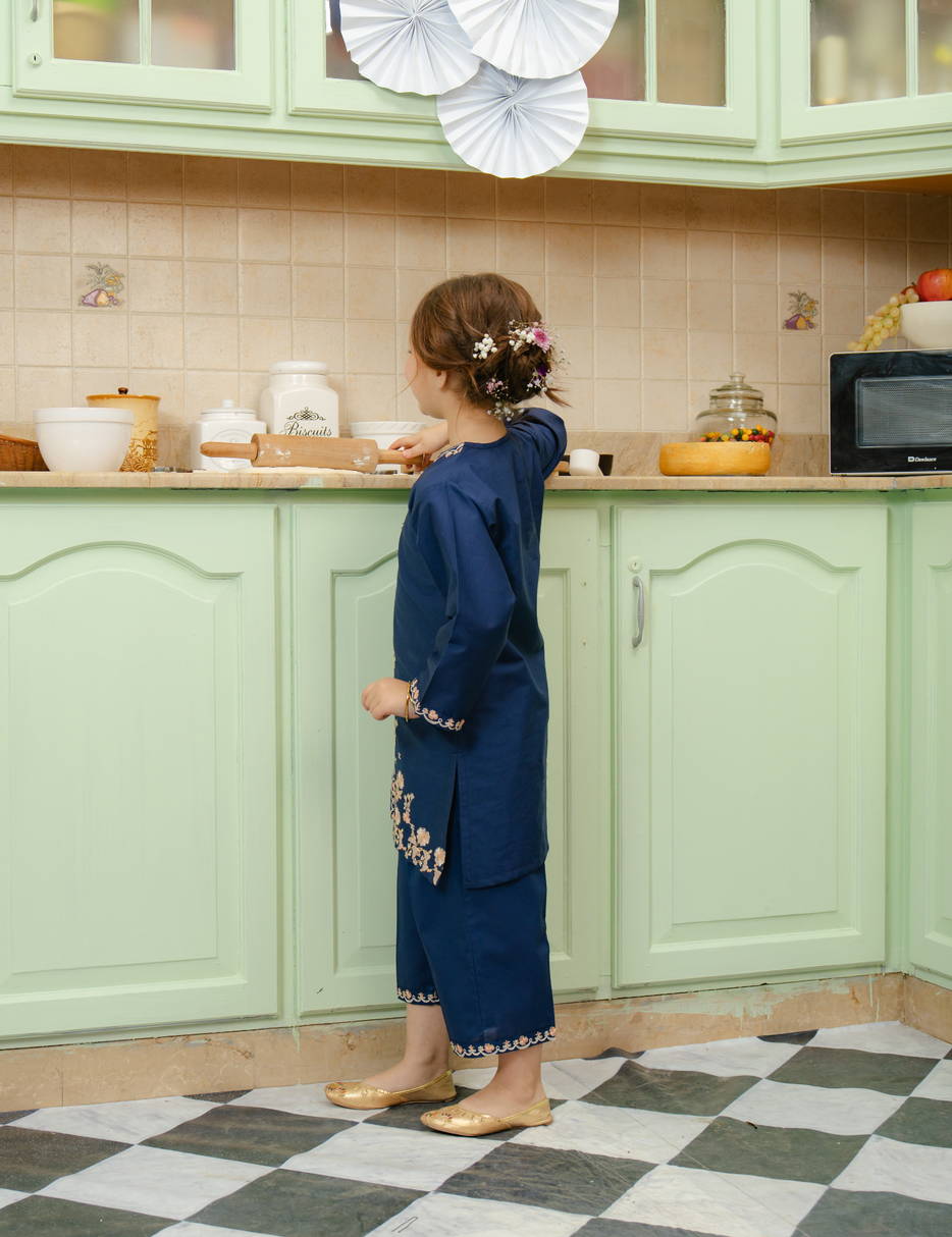 2 PIECE PAISELY EMBROIDERED SUIT