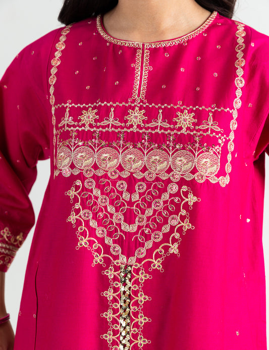2 PIECE ETHNIC SEQUIN EMBROIDERED SUIT