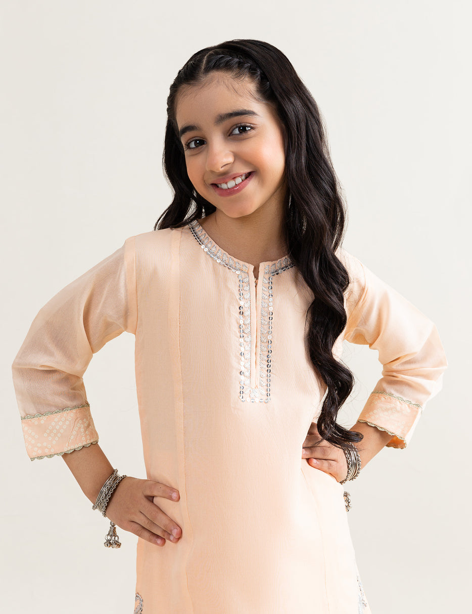 2 PIECE SEQUIN EMBROIDERED SUIT