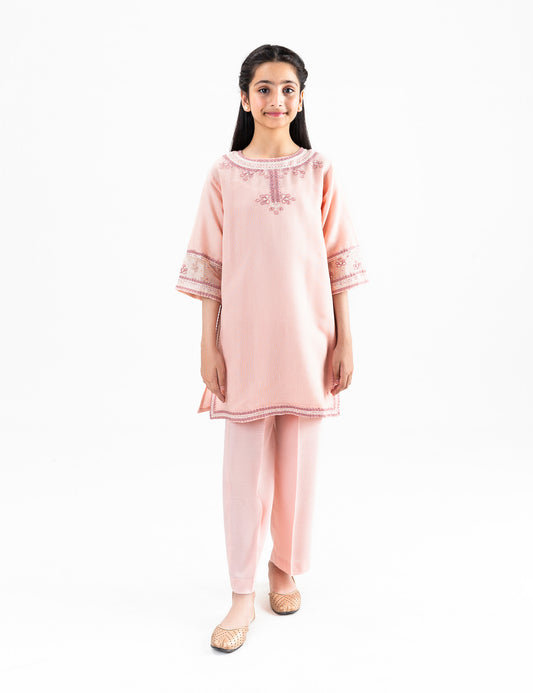 2 PIECE ETHNIC EMBROIDERED SUIT