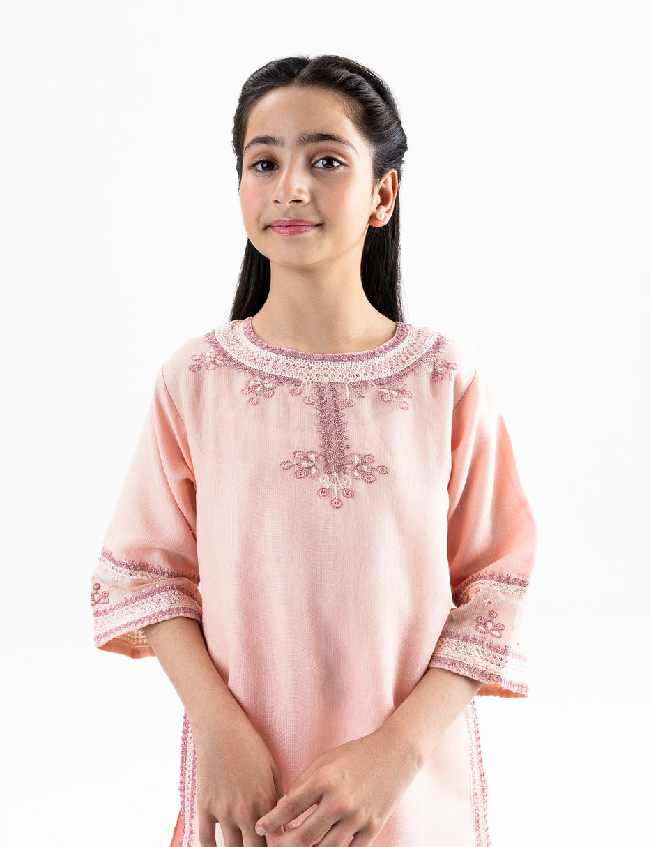 2 PIECE ETHNIC EMBROIDERED SUIT