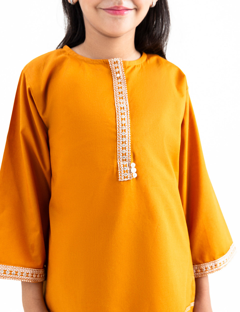 2 PIECE ETHNIC EMBROIDERED SUIT