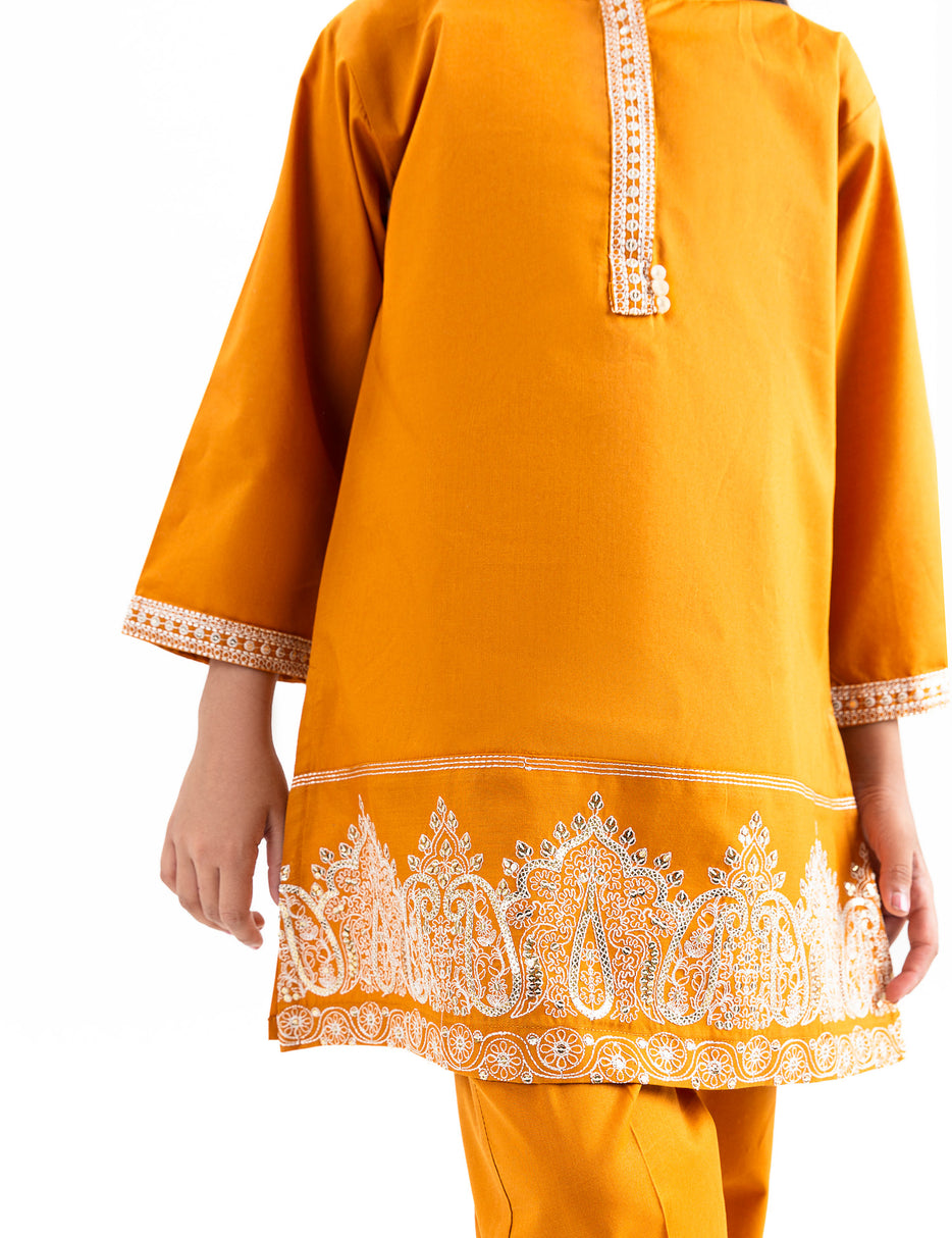 2 PIECE ETHNIC EMBROIDERED SUIT