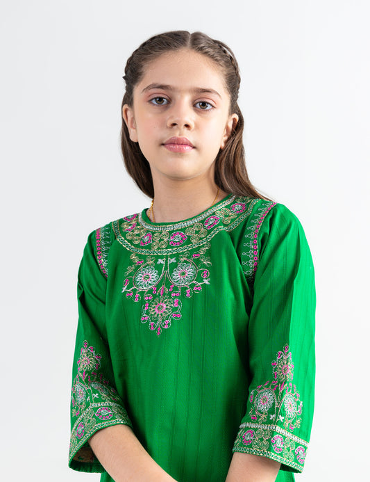 2 PIECE ETHNIC EMBROIDERED SUIT