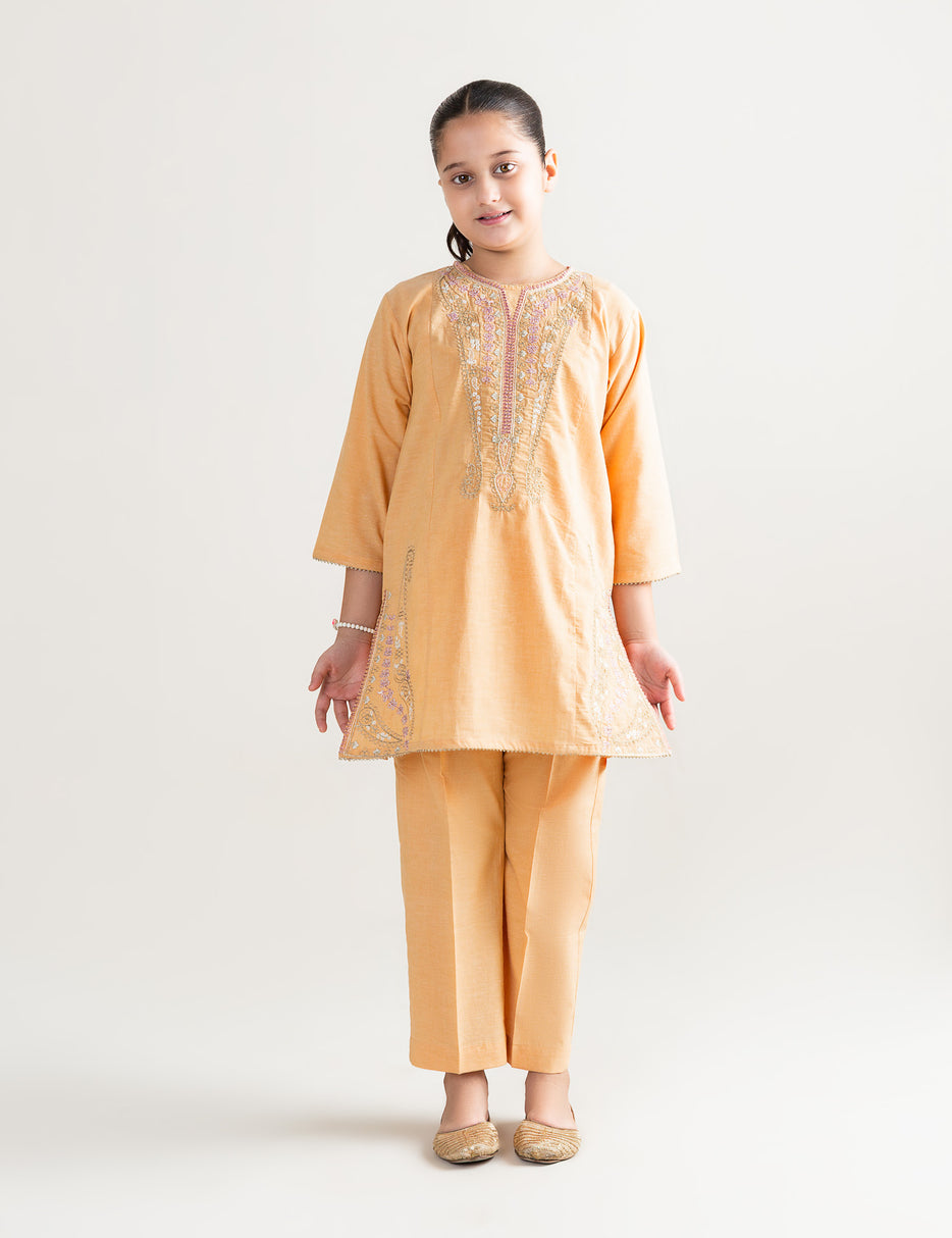 2 PIECE ALLOVER EMBROIDERED SUIT