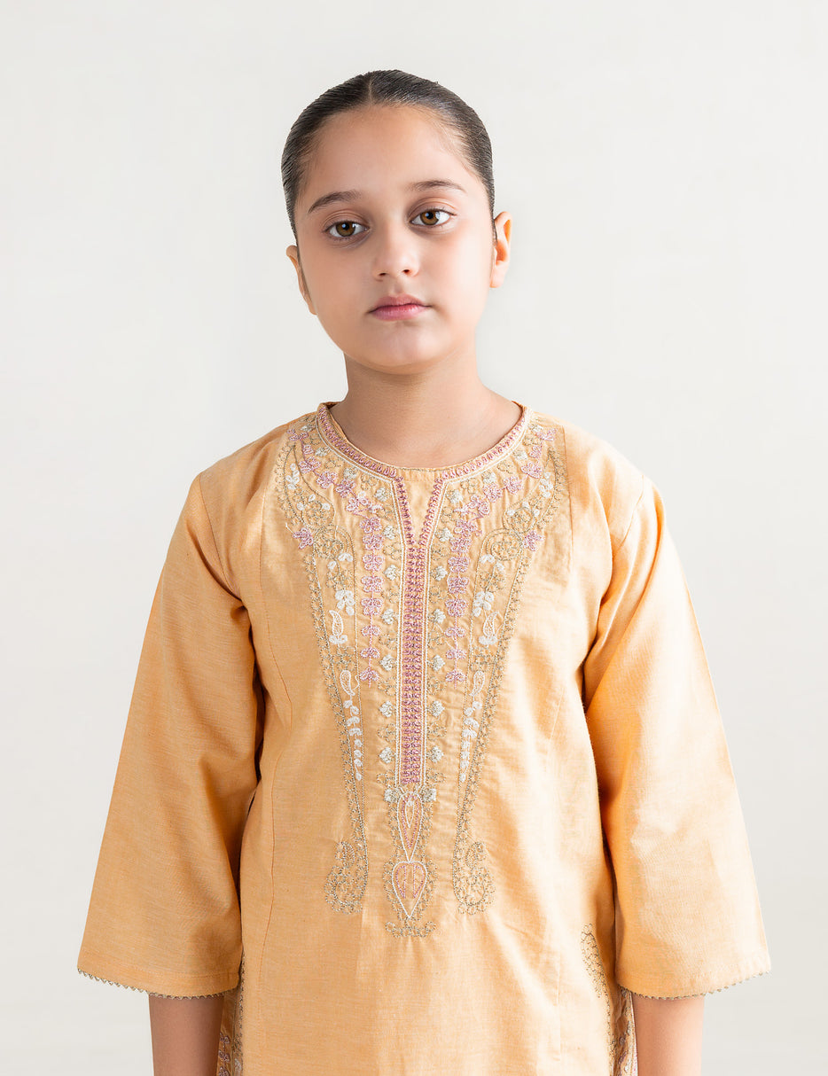 2 PIECE ALLOVER EMBROIDERED SUIT