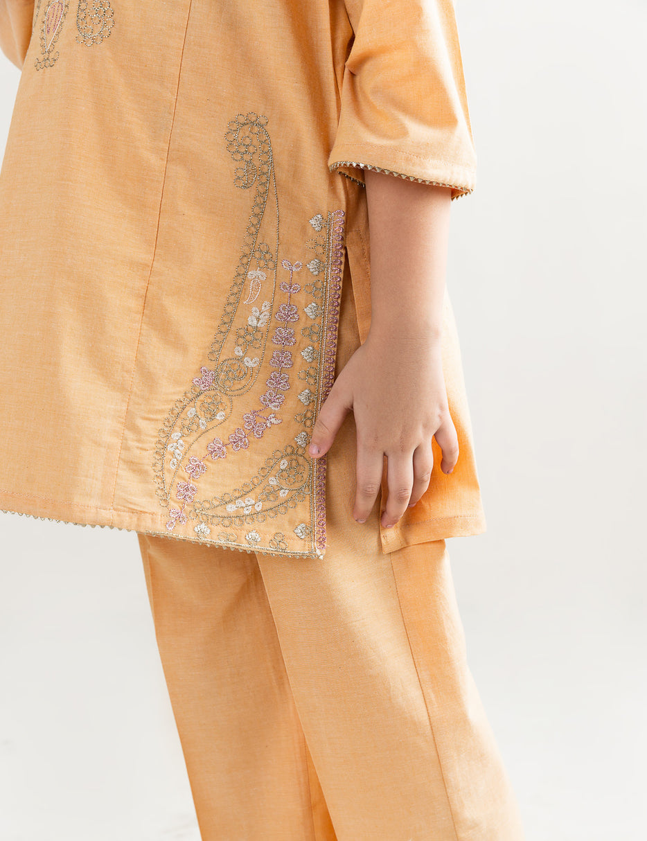 2 PIECE ALLOVER EMBROIDERED SUIT