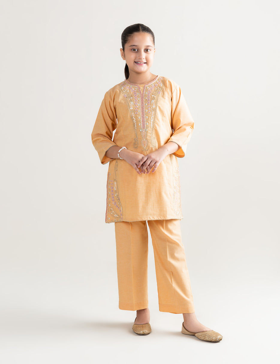 2 PIECE ALLOVER EMBROIDERED SUIT