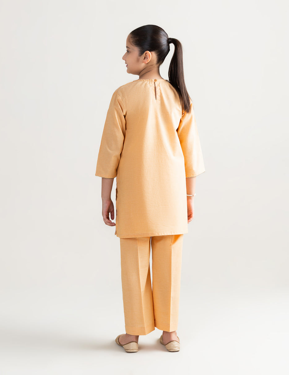 2 PIECE ALLOVER EMBROIDERED SUIT