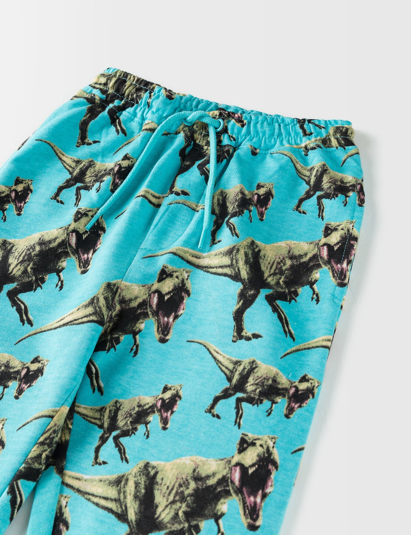 JURASSIC PARK TROUSER