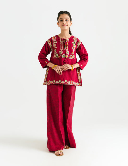 2 PIECE ETHNIC Embroidered SUIT