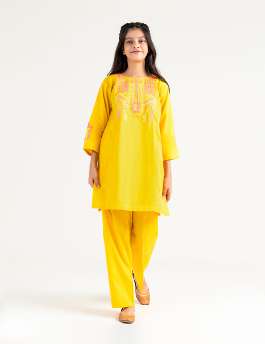 2 PIECE MULTI Embroidered TUNIC SUIT