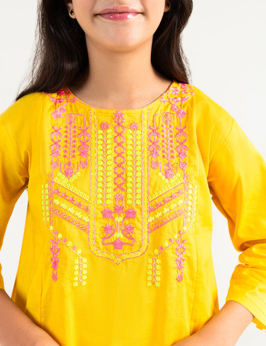 2 PIECE MULTI Embroidered TUNIC SUIT