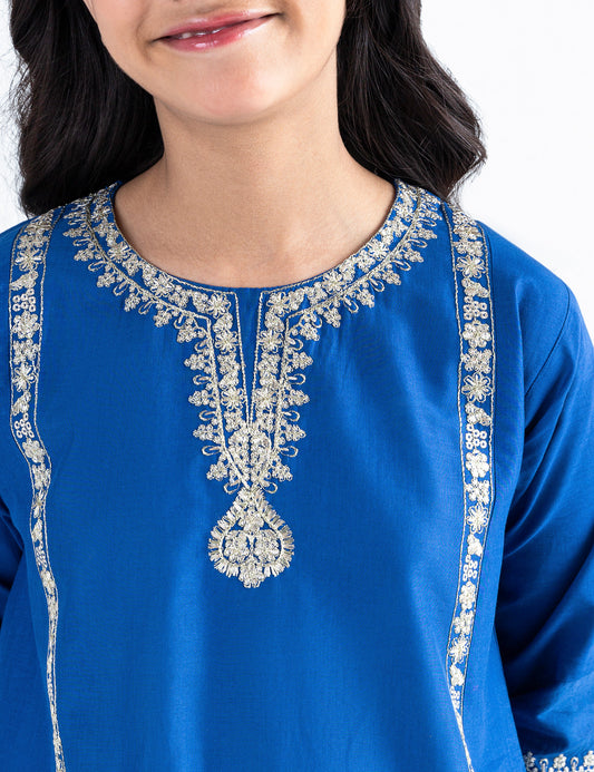 2 PIECE ETHNIC EMBROIDERED SUIT