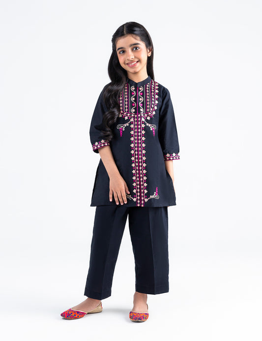 2 PIECE ETHNIC EMBROIDERED SUIT