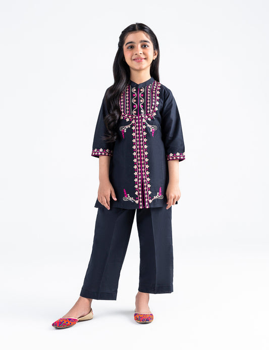 2 PIECE ETHNIC EMBROIDERED SUIT