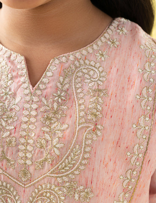 2 PIECE ETHNIC EMBROIDERED SUIT