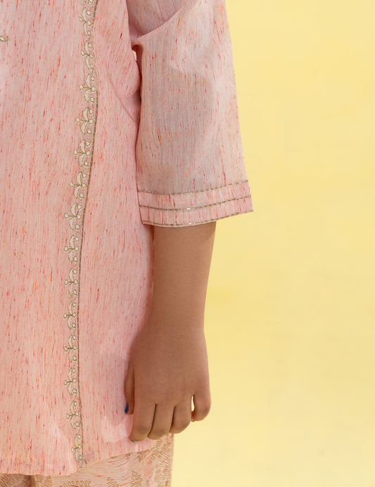 2 PIECE ETHNIC EMBROIDERED SUIT