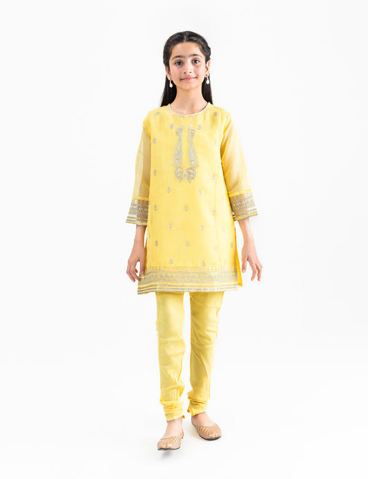 2 PIECE PAISLEY EMBROIDERED SUIT