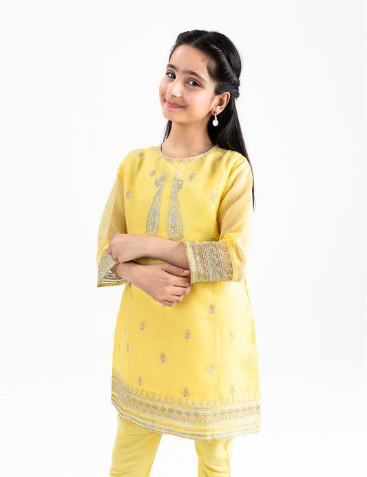 2 PIECE PAISLEY EMBROIDERED SUIT