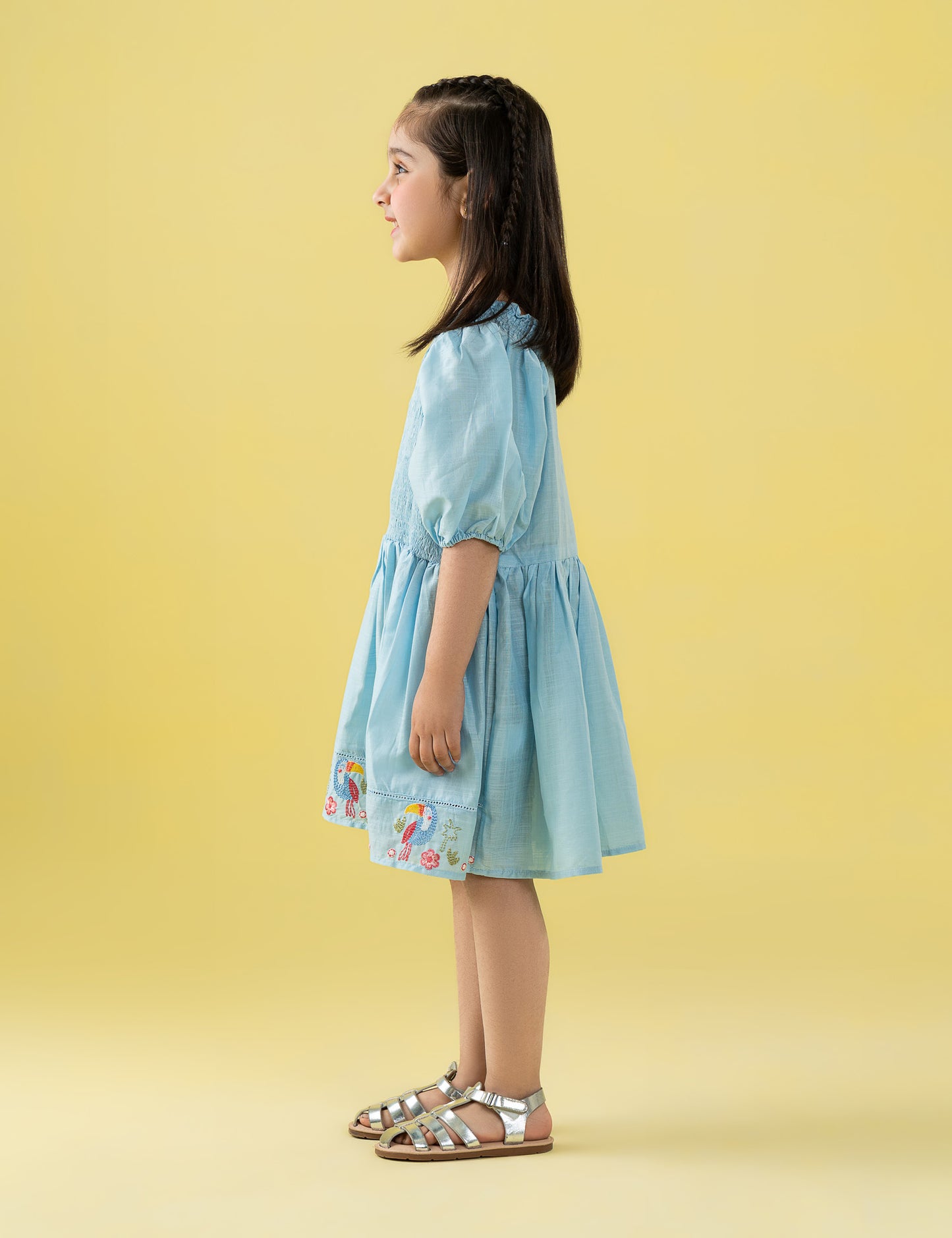 SMOCKED PUFF SLEEVE EMBROIDERED DRESS