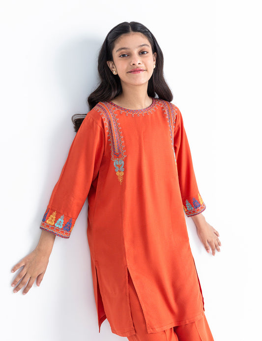 2 PIECE ETHNIC EMBROIDERED SUIT