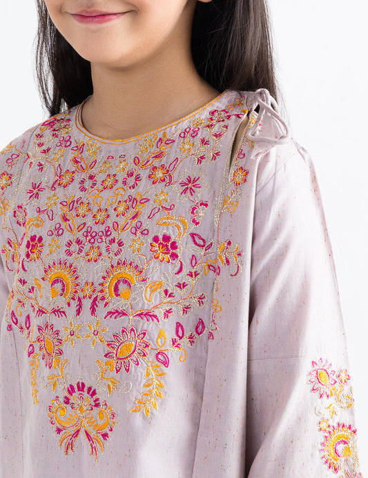 2 PIECE MULTI EMBROIDERED SUIT