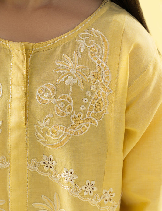 2 PIECE ETHNIC EMBROIDERED SUIT