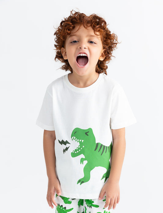 2 PIECE DINO GRAPHIC SUIT