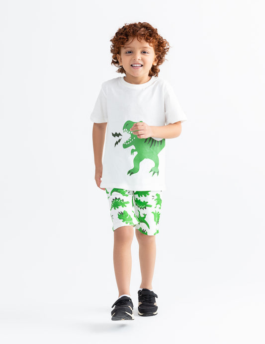 2 PIECE DINO GRAPHIC SUIT