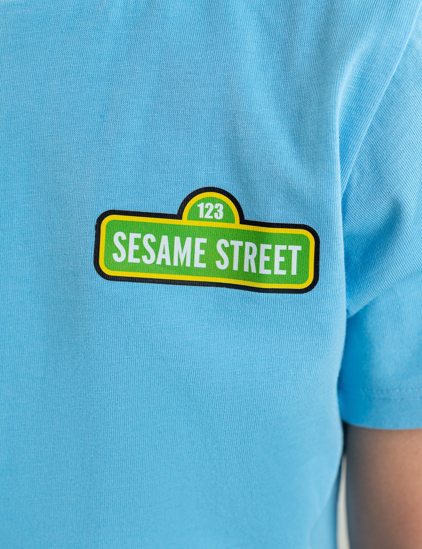 SESAME STREET PRINTED T-SHIRT