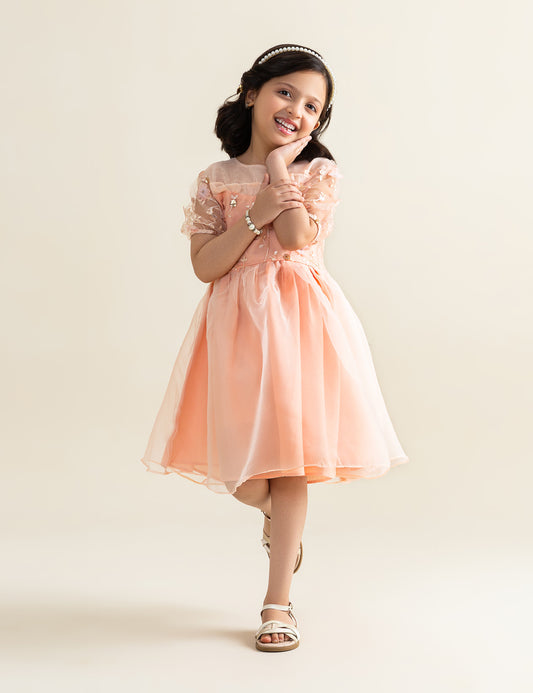 FLORAL EMBROIDERED DRESS
