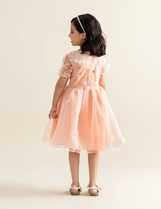 FLORAL EMBROIDERED DRESS
