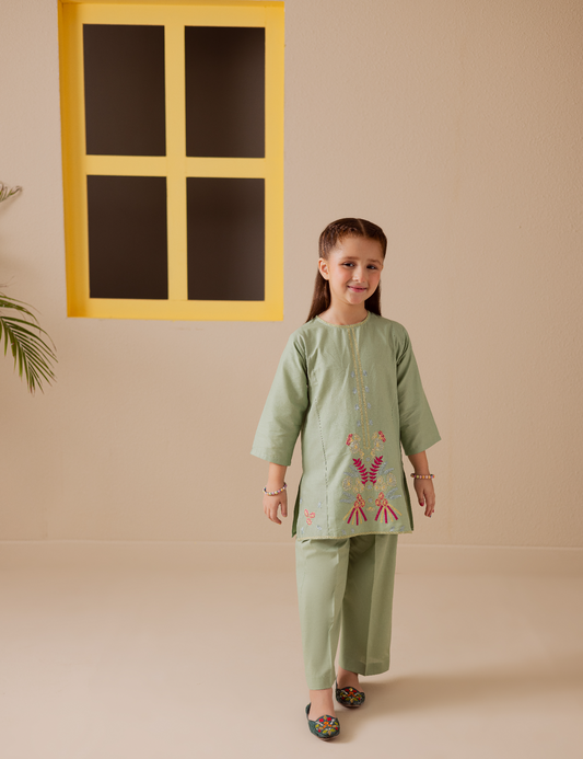 2 PIECE MULTI EMBROIDERED SUIT