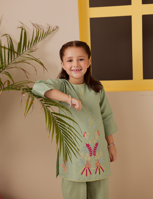 2 PIECE MULTI EMBROIDERED SUIT