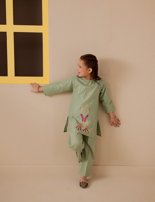 2 PIECE MULTI EMBROIDERED SUIT