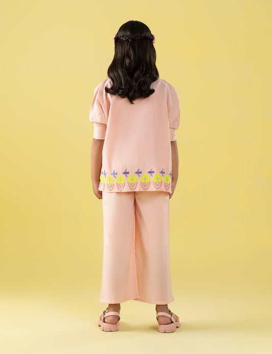 2 PIECE EMBROIDERED SUIT