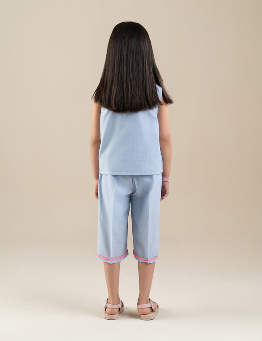 2 PIECE STYLISED EMBROIDERED SUIT