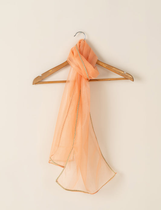 SHIMMER BORDER DUPATTA