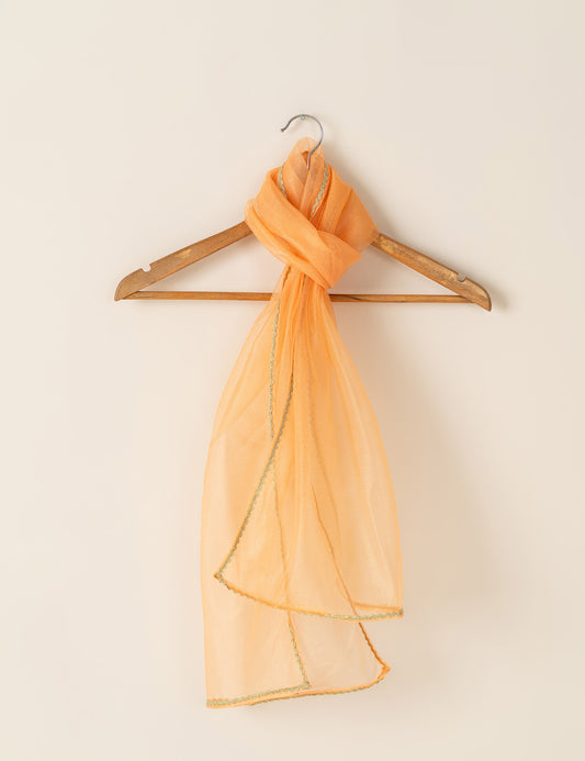 SHIMMER BORDER DUPATTA