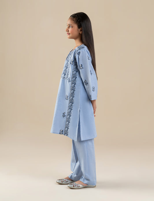 2 PIECE ETHNIC EMBROIDERED SUIT