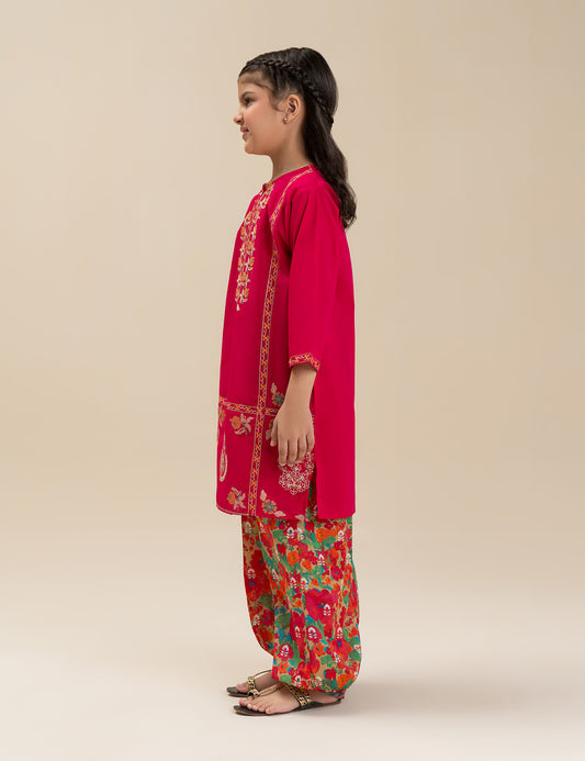 2 PIECE ETHNIC EMBROIDERED SUIT