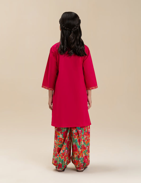 2 PIECE ETHNIC EMBROIDERED SUIT