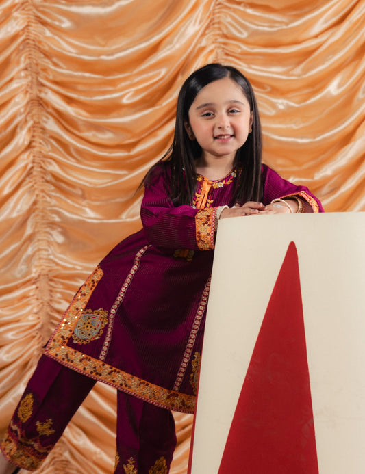 2 PIECE ETHNIC EMBROIDERED SUIT