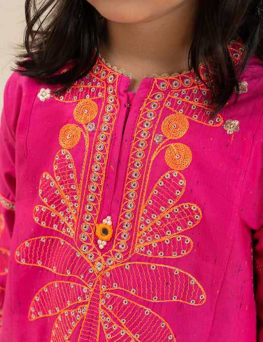 2 PIECE STYLISH EMBROIDERED SUIT