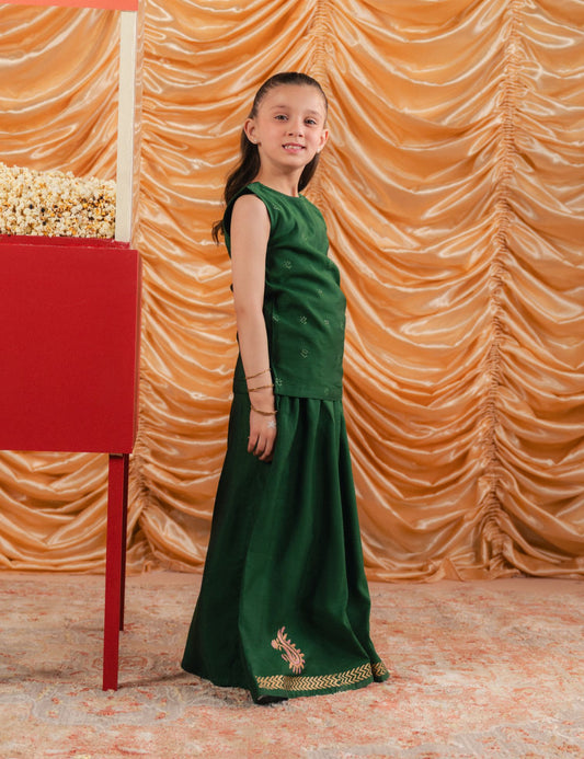 2 PIECE ETHNIC EMBROIDERED SUIT