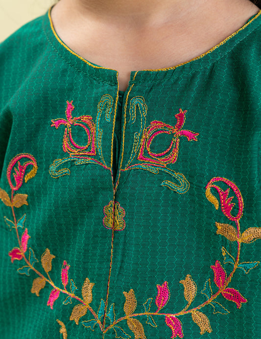2 PIECE ETHNIC EMBROIDERED SUIT