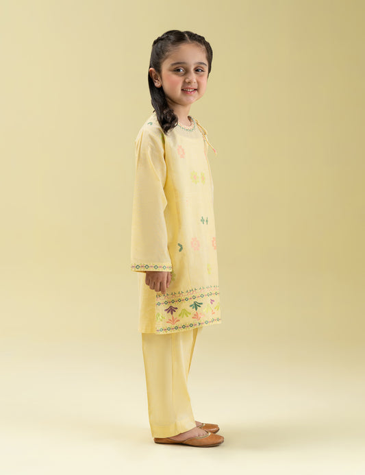 2 PIECE MULTI EMBROIDERED SUIT