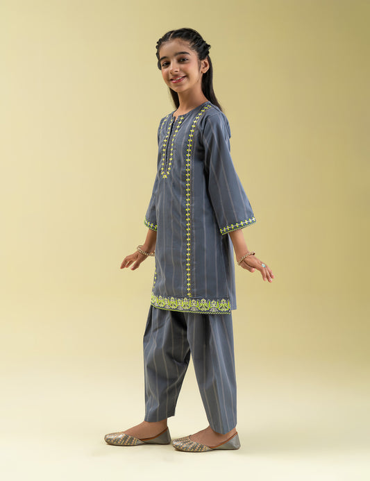 2 PIECE ETHNIC EMBROIDERED SUIT