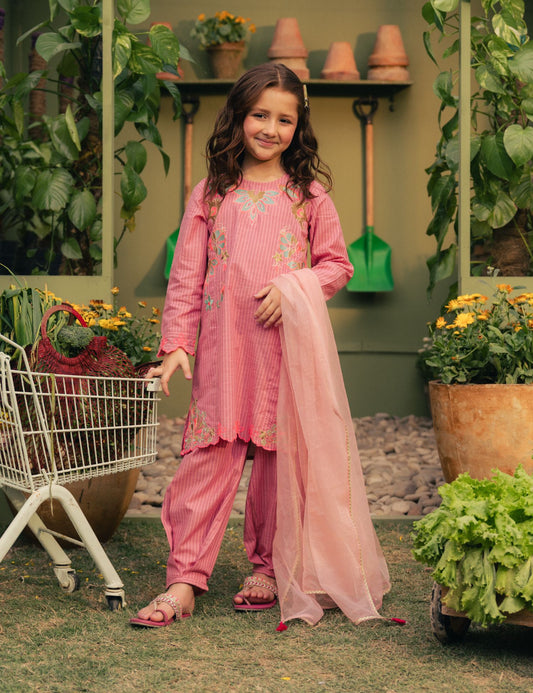 2 PIECE VIBRANT EMBROIDERED SUIT